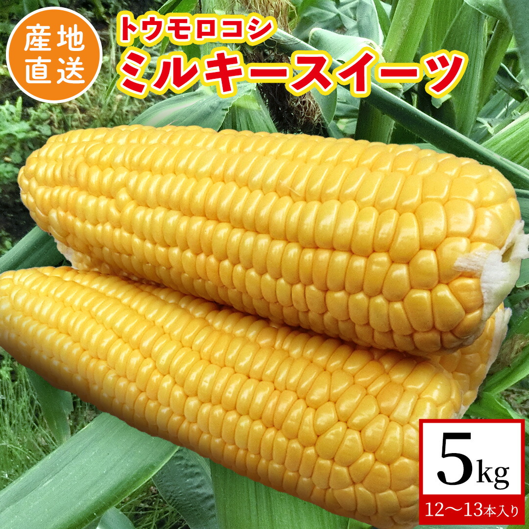 【ふるさと納税】【 産地直送 】 トウモロコシ 「 ミルキースイーツ 」 5kg 新鮮 皮付き とうもろこし コーン 野菜