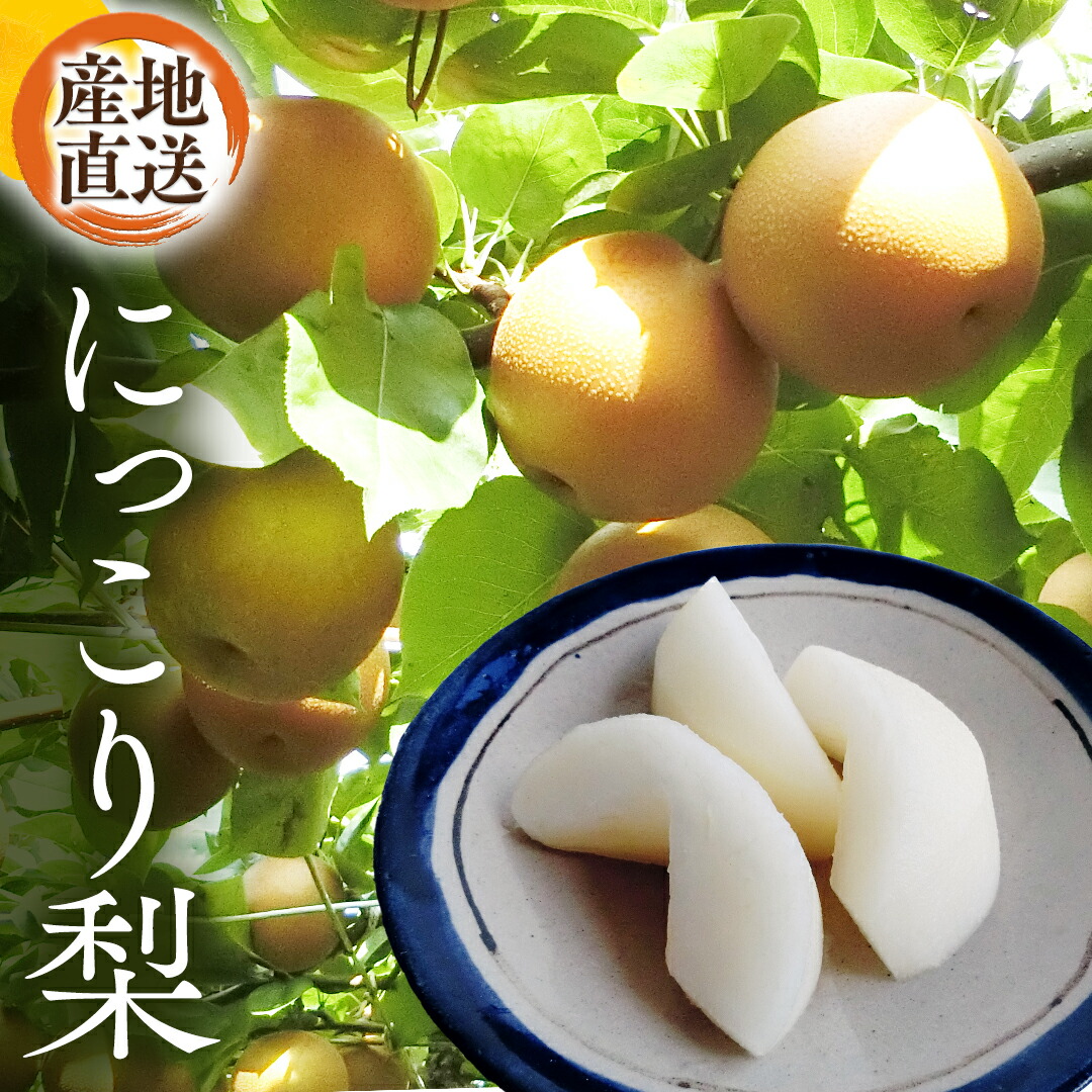 【ふるさと納税】 【 産地直送 】 にっこり梨 梨 なし ナシ