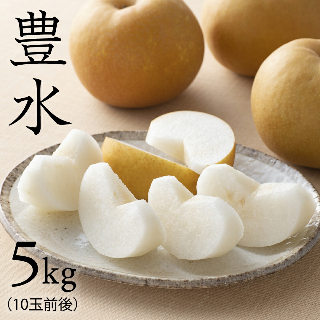 【ふるさと納税】 【 豊水 】 梨 5kg なし ナシ 果物フルーツ 旬