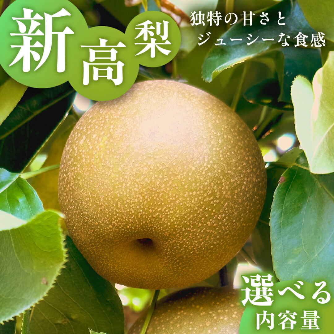 【ふるさと納税】独特の甘さ ジューシーな食感 「 新高 」( 選べる 内容量 ) 3kg 5kg 梨 減農薬 果物 フルーツ なし ナシ 和梨