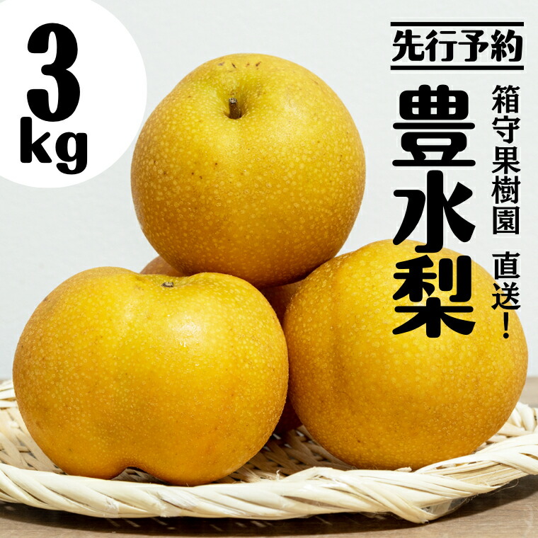 【ふるさと納税】【 先行予約 】箱守果樹園 直送！ 豊水梨 3kg なし 梨 ほうすい 豊水 果実 果物 フルーツ