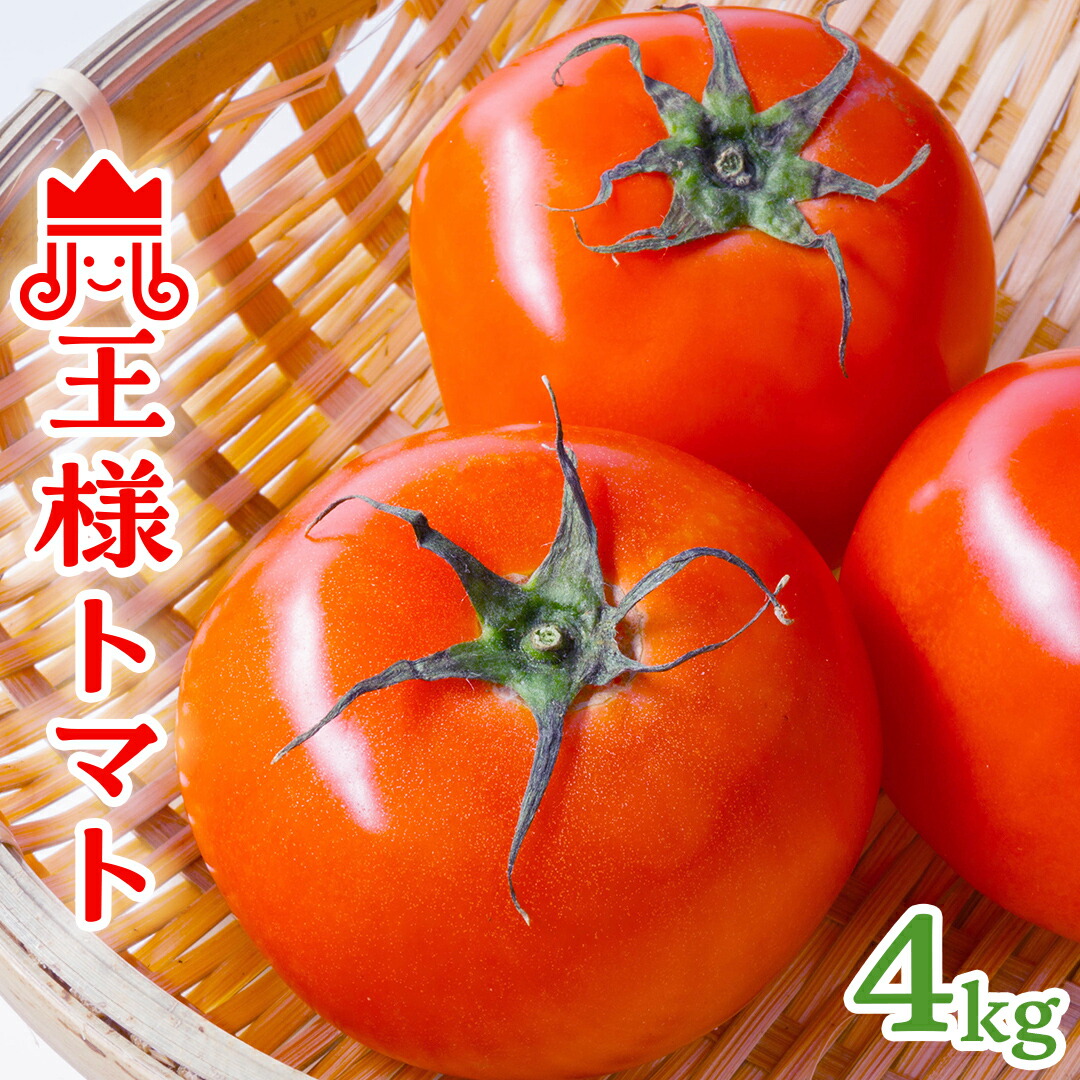 【ふるさと納税】箱守果樹園 直送！ 「 王様トマト 」 1箱 4kg 野菜 トマト とまと