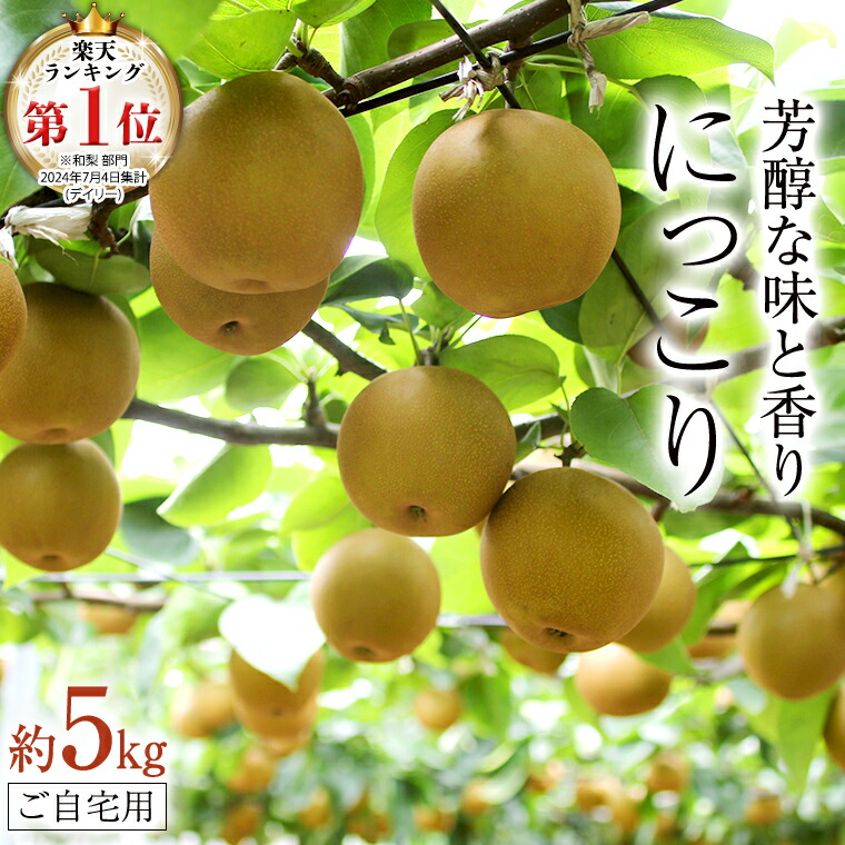 【ふるさと納税】【 ランキング 1位 獲得!! 】 芳醇な味と香り 『 にっこり 』 5kg ( 自家用 ) 2025年産 先行予約 フルーツ 果物 国産 日本産 梨 ナシ なし 和梨