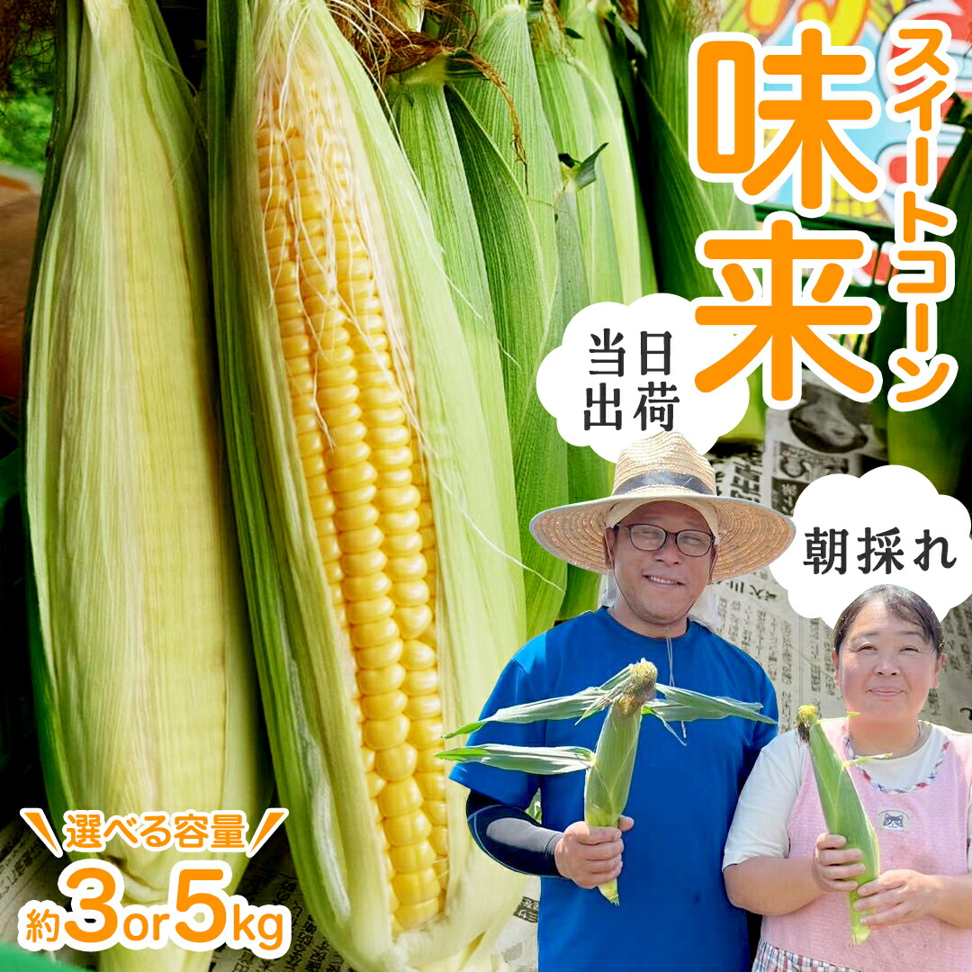 【ふるさと納税】【 朝採れ 当日出荷 】  スイートコーン 「 味来 」 ( 選べる 内容量 ) 3kg 5kg 甘い 新鮮 皮付き トウモロコシ とうもろこし コーン 野菜