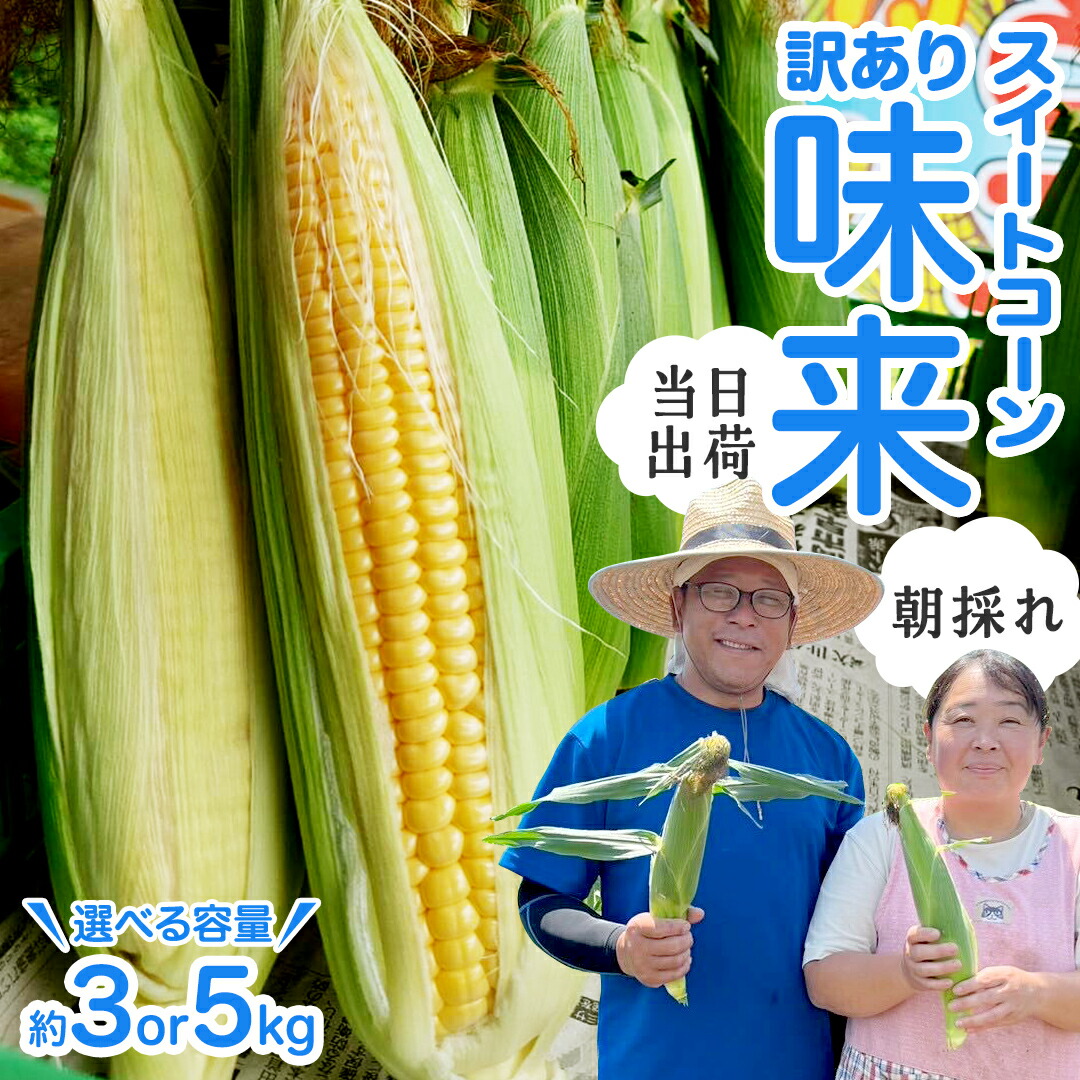 【ふるさと納税】【 朝採れ 当日出荷 】  訳あり スイートコーン 「 味来 」 ( 選べる 内容量 ) 3kg 5kg 甘い 新鮮 皮付き トウモロコシ とうもろこし コーン 野菜