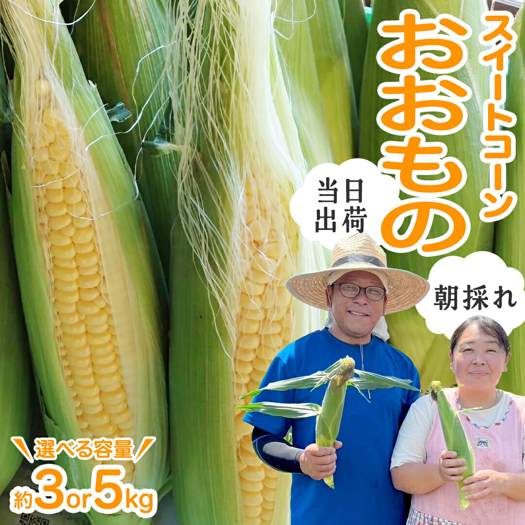 【ふるさと納税】【 朝採れ 当日出荷 】  スイートコーン 「 おおもの 」 ( 選べる 内容量 ) 3kg 5kg 甘い 新鮮 皮付き トウモロコシ とうもろこし コーン 野菜