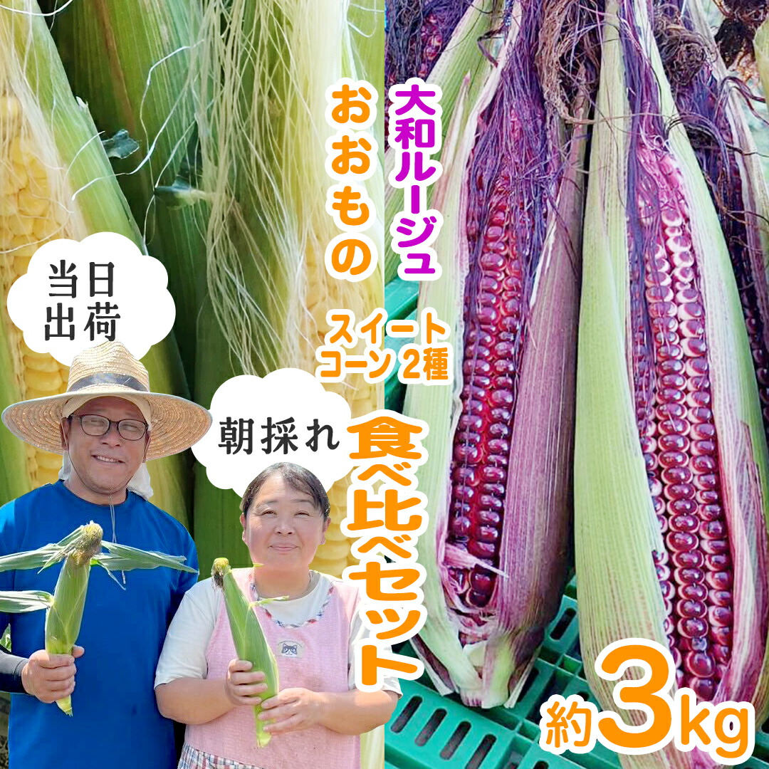 【ふるさと納税】【 朝採れ 当日出荷 】  スイートコーン 2種 ( 大和ルージュ ・ おおもの ) 食べ比べ セット 約3kg 甘い 新鮮 皮付き トウモロコシ とうもろこし コーン 野菜