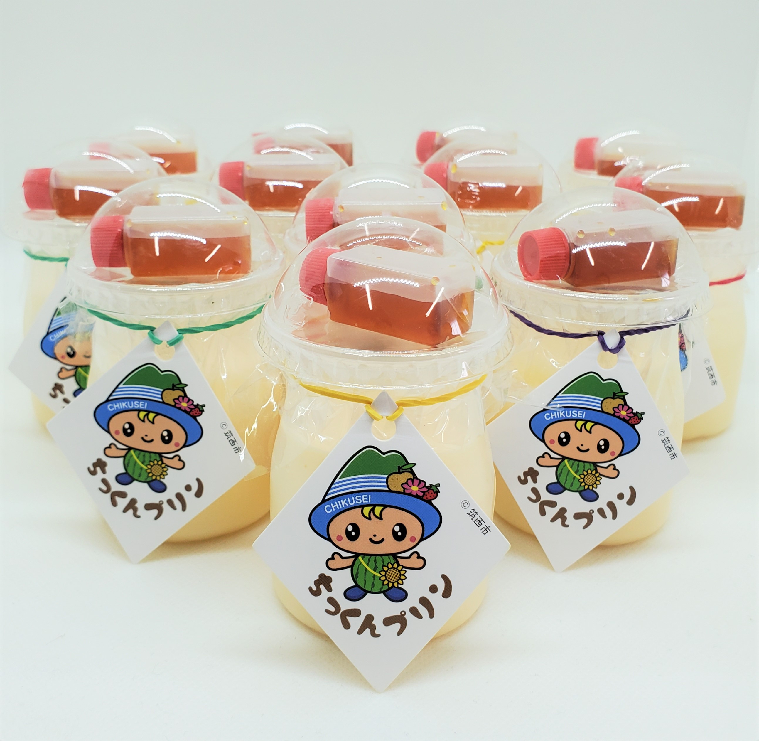 【ふるさと納税】 ＜お中元熨斗付き＞ ちっくん プリン 12個 セット