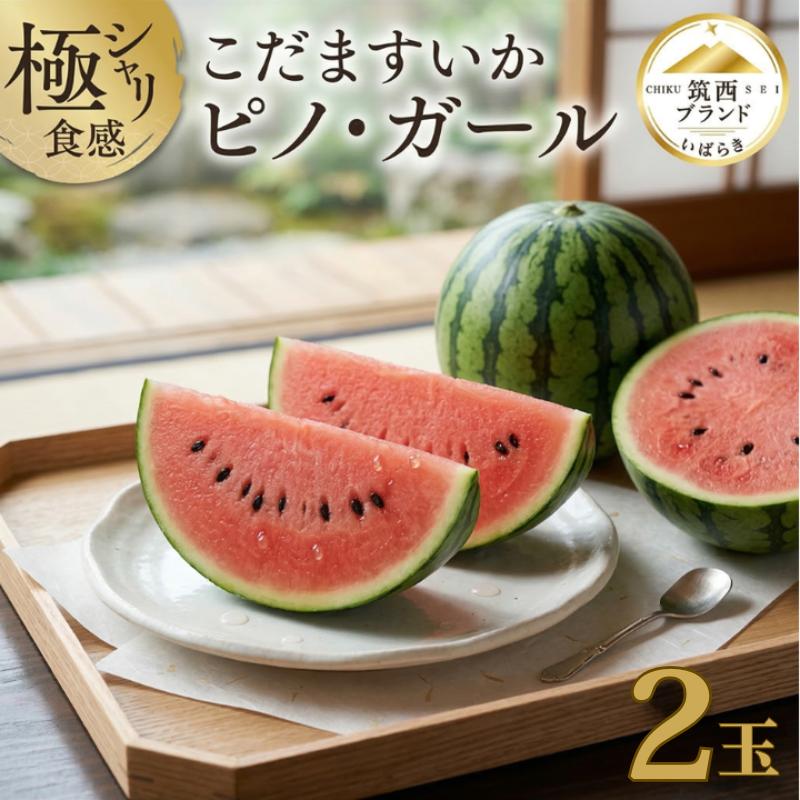 【ふるさと納税】【 JA北つくば 】 極シャリ食感 ！ こだますいか 「 ピノ・ガール 」 ( 選べる 内容量 2玉 or 4-5玉 ) 2026年産 小玉すいか 小玉 すいか スイカ 果物 フルーツ ピノガール 西瓜 くだもの デザート 茨城