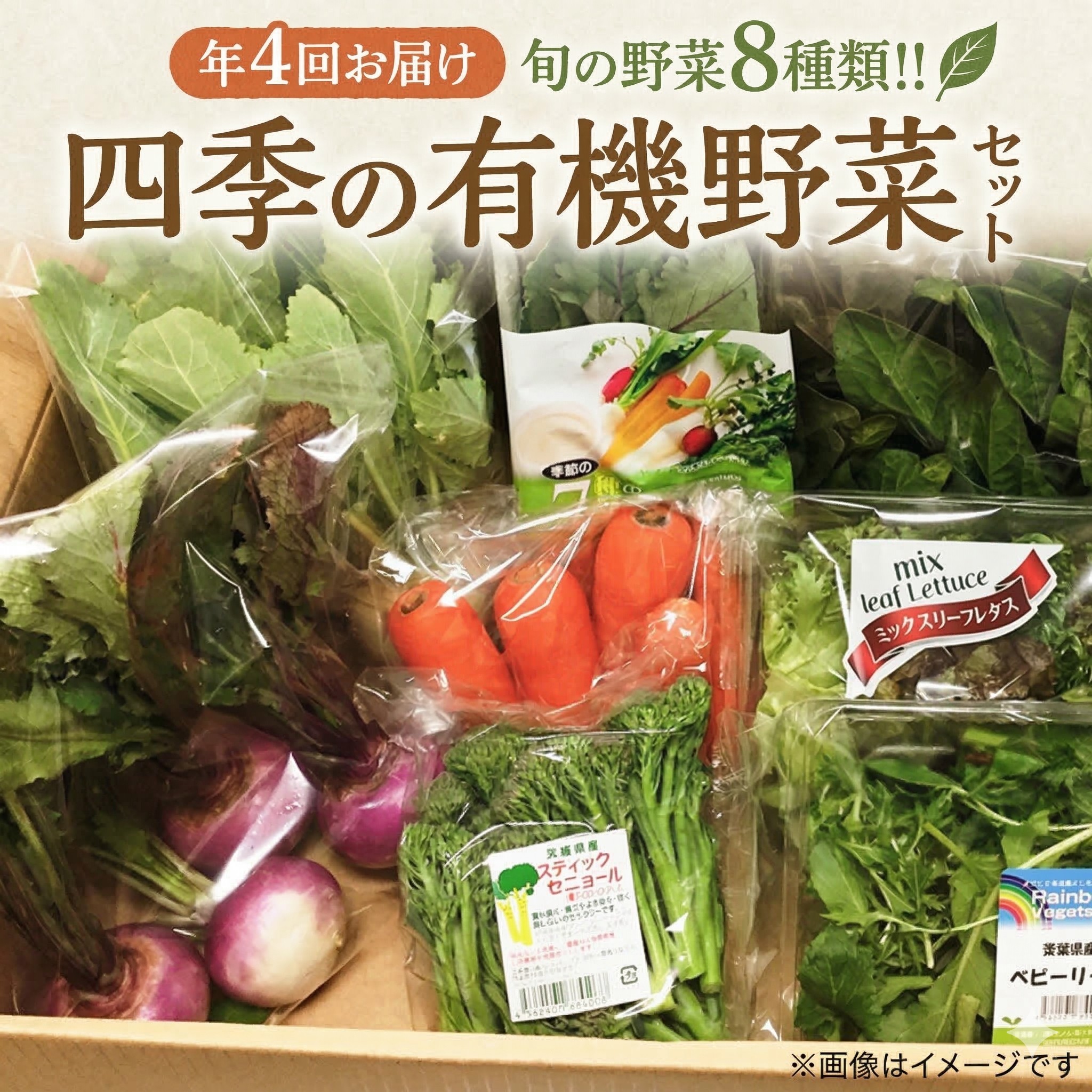 【ふるさと納税】【 定期便 年4回お届け！】四季の 有機野菜 色とりどりセット 野菜 野菜セット 詰め合わせ 有機 無農薬 JAS認定 無化学肥料 おまかせ 野菜スティック レインボーフューチャー