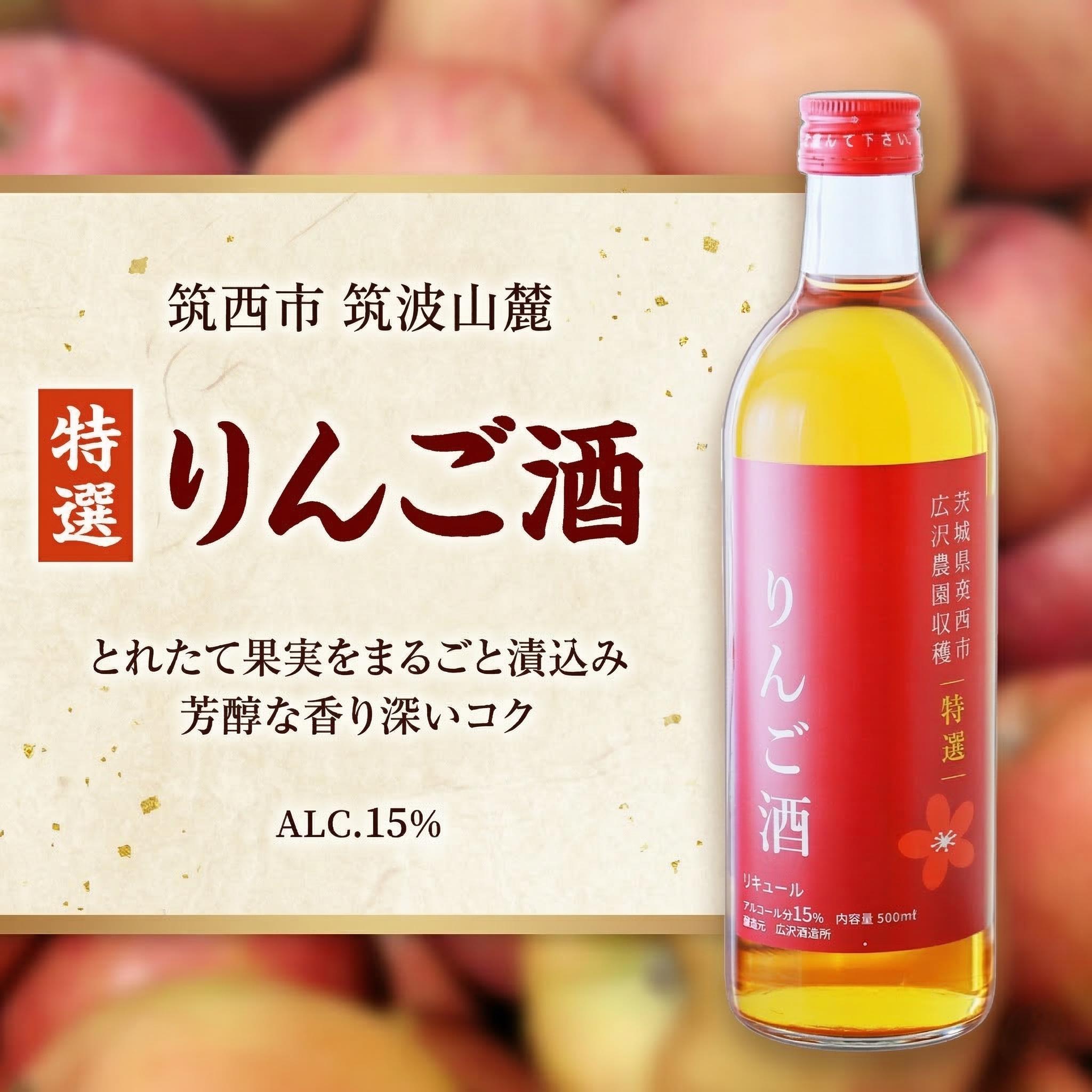 【ふるさと納税】【 特選 】 りんご酒 アルコール 15％ （ 500ml × 1本 ） 果実酒 お酒 酒 リンゴ りんご 林檎