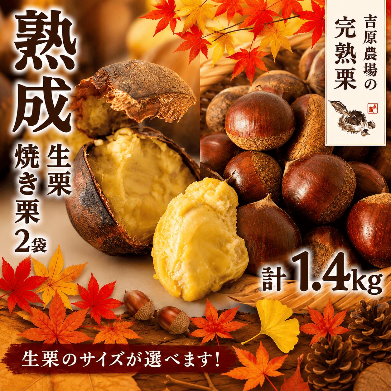 【ふるさと納税】 先行受付 熟成 生栗 焼き栗 セット 選べるサイズ 生栗 1kg （ Lサイズ / 2L / 3L ） 焼き栗 2袋 令和8年産 完熟 栗 くり クリ 栗ごはん 贈答 ギフト 果物 フルーツ 2026年度産 国産 味覚 生ぐり 和栗 わぐり 秋の味覚 マロン 料理 和菓子 炊き込みご飯｜茨城県筑西市