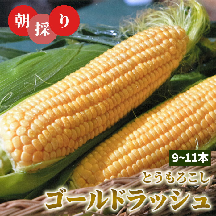 【ふるさと納税】No.846 朝採りとうもろこしゴールドラッシュ【期間限定】 ／ 野菜 トウモロコシ 朝どり 新鮮 深い甘み 旨み ジューシー 高糖度 送料無料 茨城県
