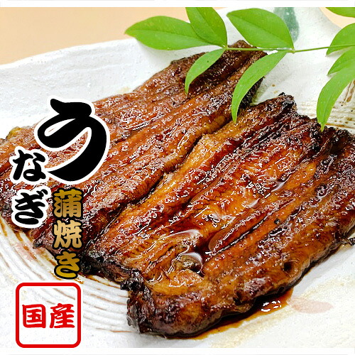 【ふるさと納税】国産鰻　蒲焼き（1人前） ／ うなぎ ウナギ 送料無料 茨城県 No.183