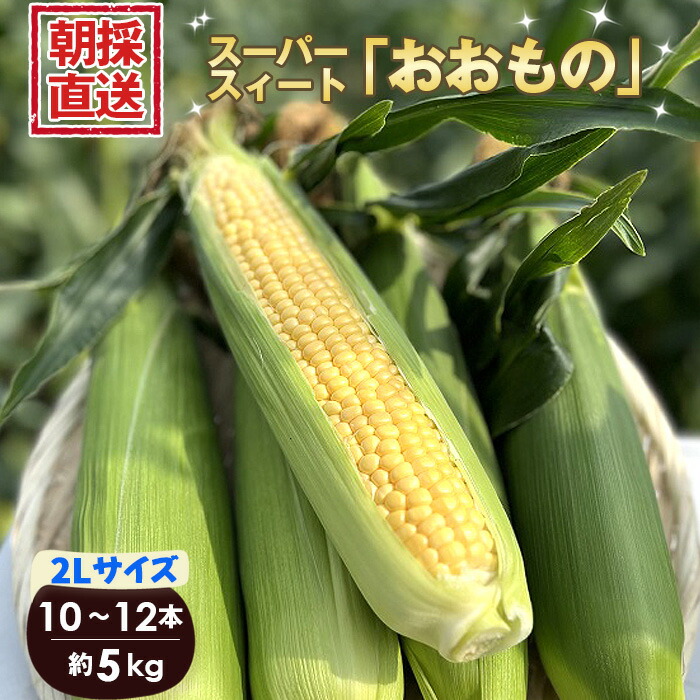 【ふるさと納税】No.265 ［坂東市産］朝採り直送とうもろこし スーパースィート「おおもの」2L 10本～12本 5kg ／ 非常に甘い 糖度20度 玉蜀黍 トウモロコシ 数量限定 送料無料 茨城県