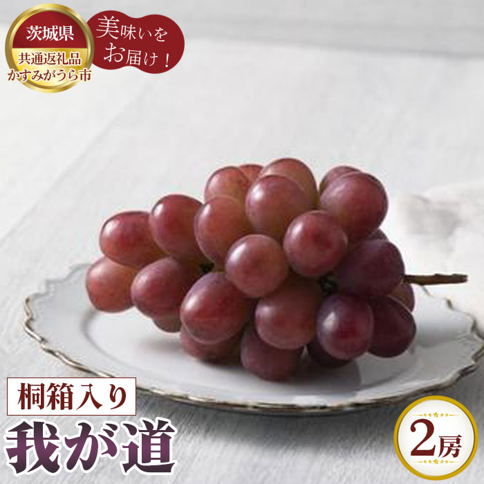 【ふるさと納税】【先行予約】我が道　桐箱入り2房【茨城県共通返礼品 かすみがうら市】 ／ ぶどう ブドウ 葡萄 フルーツ 果物 贈答用 送料無料 茨城県 No.317｜茨城県坂東市 26,000円
