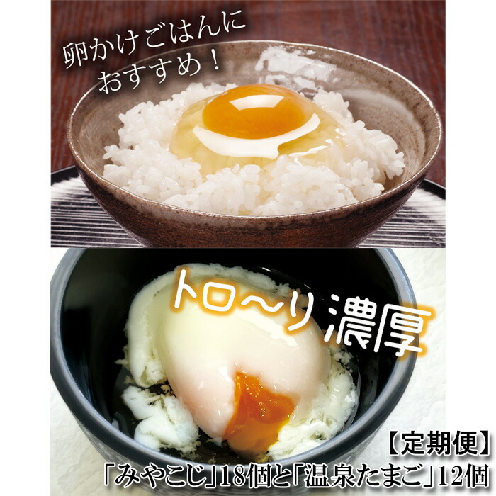 楽天市場】【ふるさと納税】たまご好きが唸る！「都路のたまご