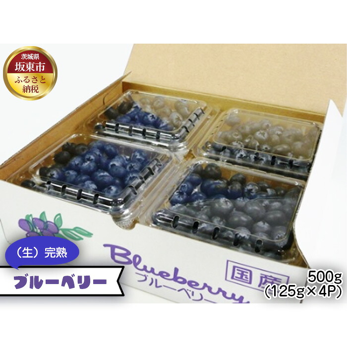【ふるさと納税】茨城県産　坂東市（生）完熟ブルーベリー500g（125g×4P）／ブルーベリー 大粒 完熟 健康フルーツ 送料無料 茨城県 No.523 7,400円