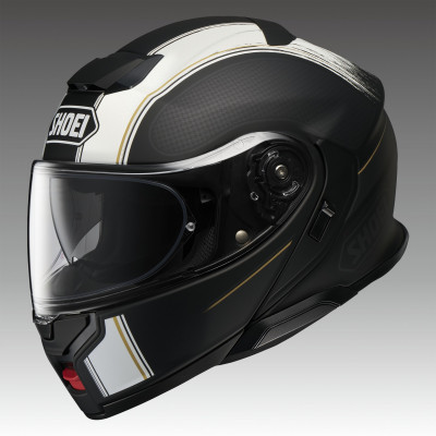 【ふるさと納税】NEOTEC3 SATORI TC-5(BLACK/WHITE)L フィッティングチケット付【配送不可地域：離島・沖縄県】【1693114】