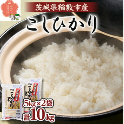 【ふるさと納税】【毎月定期便】茨城県稲敷市産こしひかり10kg(5kg&times;2) 全3回【配送不可地域：離島・沖縄県】【4084487】｜茨城県稲敷市