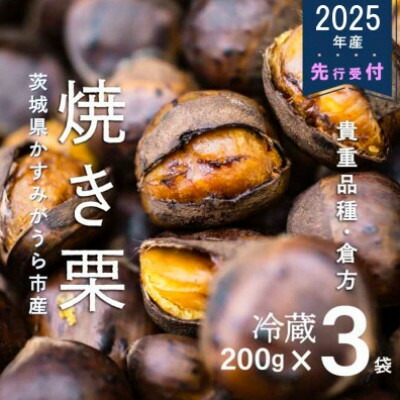 【ふるさと納税】【先行予約】甘さ抜群!貴重品種『倉方』の焼き栗　200g×3セット_ 栗 くり 焼き栗 マロン 冷蔵 国産 茨城 果物 くだもの 人気 おすすめ 送料無料 贈答 ギフト 倉方 【配送不可地域：離島】【1092660】