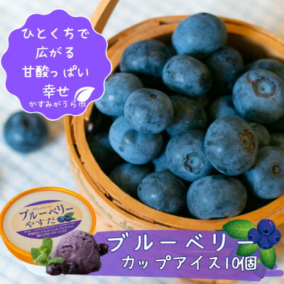 【ふるさと納税】『ブルーベリーやすだ』の濃厚ブルーベリーアイス　10個セット【配送不可地域：離島】【1452596】