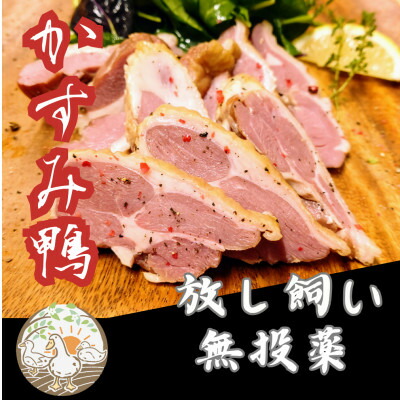 【ふるさと納税】かすみ鴨　モモ肉スモークセット　計約500g(3～4パック)【配送不可地域：離島】【1563882】