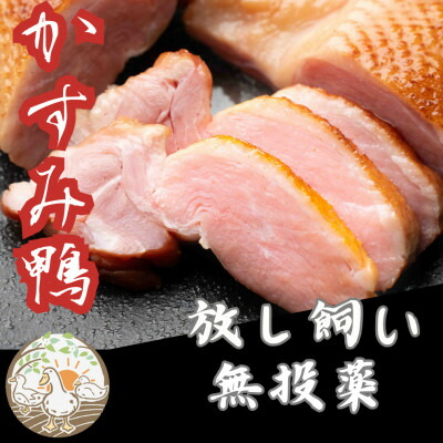 【ふるさと納税】かすみ鴨　ムネ肉のスモーク　1枚(200g)【配送不可地域：離島】【1563883】