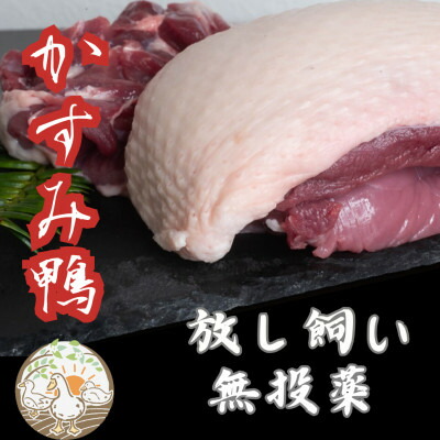 【ふるさと納税】かすみ鴨むね肉　1羽分(800g～900g程度)_ 鴨 肉 鴨肉 かも肉 カモ肉 かも カモ にく ニク お肉 モモ もも肉 モモ肉 国産 真空パック ロースト ロース煮 鍋 鴨鍋 しゃぶしゃぶ 味噌漬け 合鴨 茨城県 冷凍 送料無料 【配送不可地域：離島】【1563885】