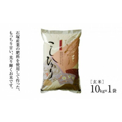 ふるさと納税】令和6年産かすみがうら市産コシヒカリ 玄米 10kg ふるさと納税】令和6年産かすみがうら市産コシヒカリ 玄米 10kg