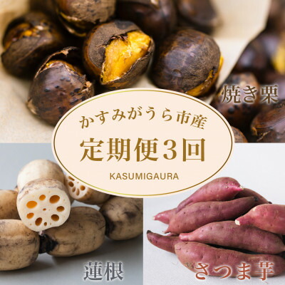 【ふるさと納税】【発送月固定定期便】茨城県 特産品3種全3回【配送不可地域：離島】【4062740】