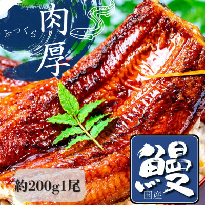【ふるさと納税】熟練された職人が作る「炭火焼き　国産うなぎ蒲焼」大サイズ約200g×1尾【配送不可地域：離島】【1378497】