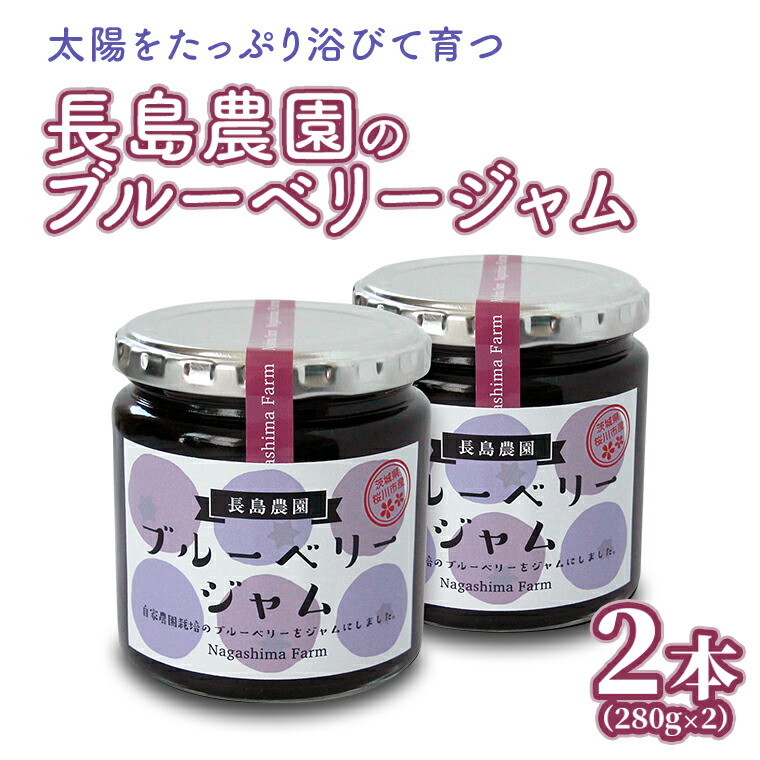 ふるさと納税 ブルーベリー 800g ( 400g × 2パック ) 2025年6月から ふるさと納税 茨城県 桜川市 ブルーベリー1.2kg ( 400g × 3パック )  国産 茨城県産 ベリー フルーツ 果物 くだもの 自家製栽培[AK…