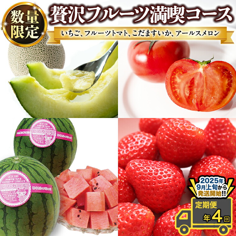 【ふるさと納税】《定期便 》【 2025年9月上旬から発送開始 全4回 】 数量限定 贅沢 フルーツ 満喫コース 旬の果実 旬のフルーツ くだもの 果実 トマト フルーツトマト スイカ いちご メロン 特選 贅沢 厳選 定期便