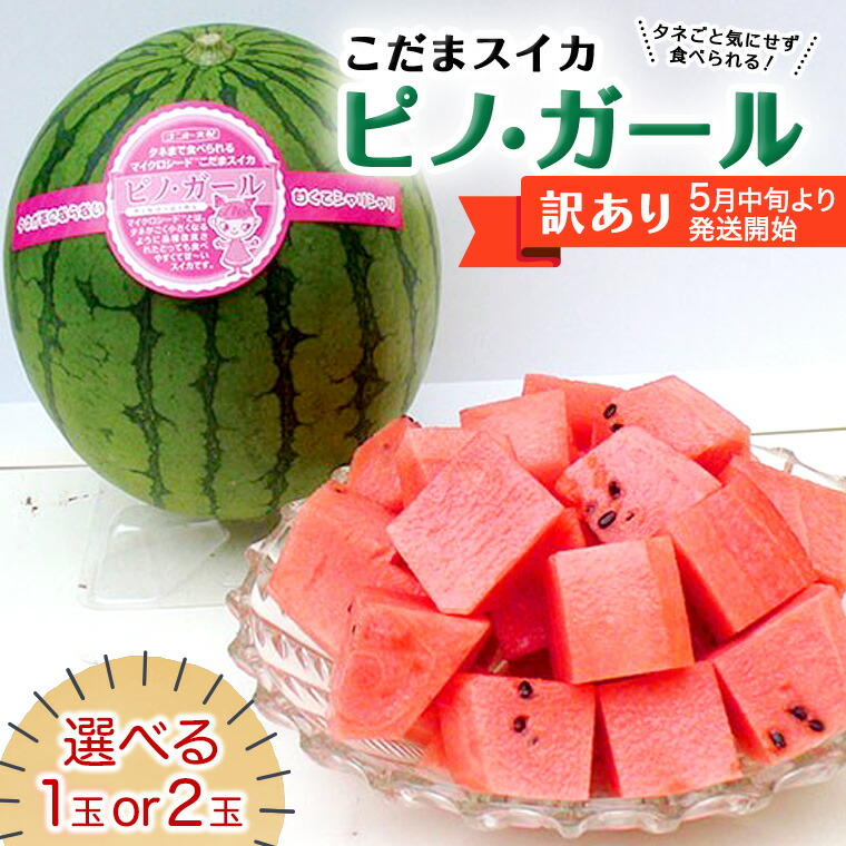 【ふるさと納税】【 訳あり 】【 2025年5月中旬より発送開始 】 こだまスイカ ピノ・ガール （１～2玉） 感動必至！ タネが気にならない すいか スイカ 西瓜 旬 旬の果実 旬のフルーツ くだもの 果実 フルーツ 夏 小玉スイカ 小玉 美味しい 茨城