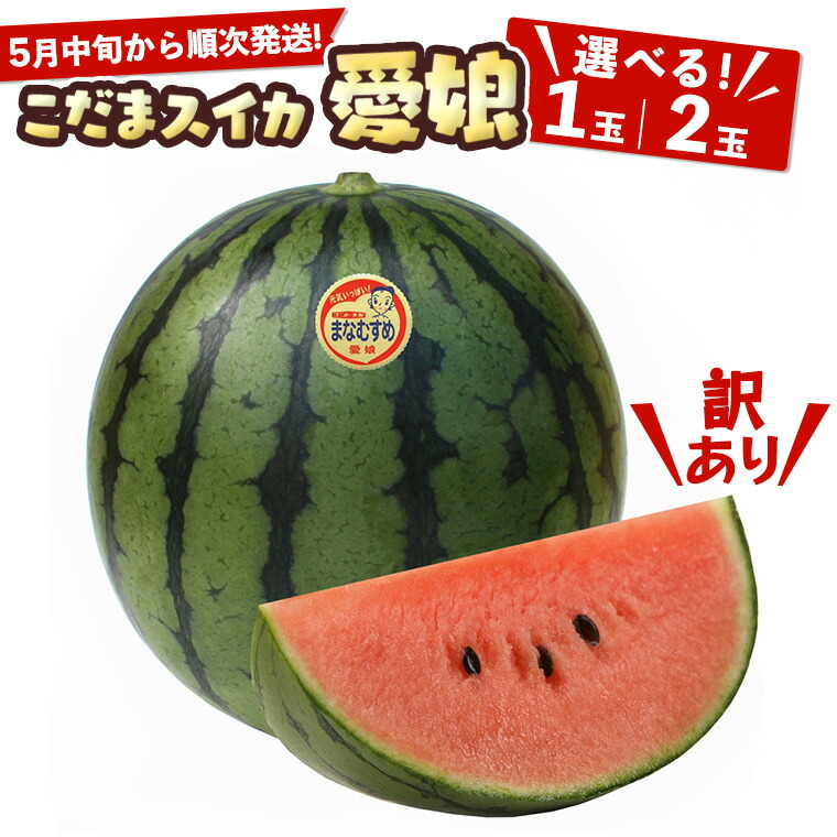 【ふるさと納税】【 訳あり 】【 5月中旬より順次発送 】 際まで甘い こだまスイカ 愛娘 （１～2玉） スイカ 西瓜 旬 旬の果実 旬のフルーツ くだもの 果実 フルーツ 夏 小玉スイカ 小玉 果物 美味しい