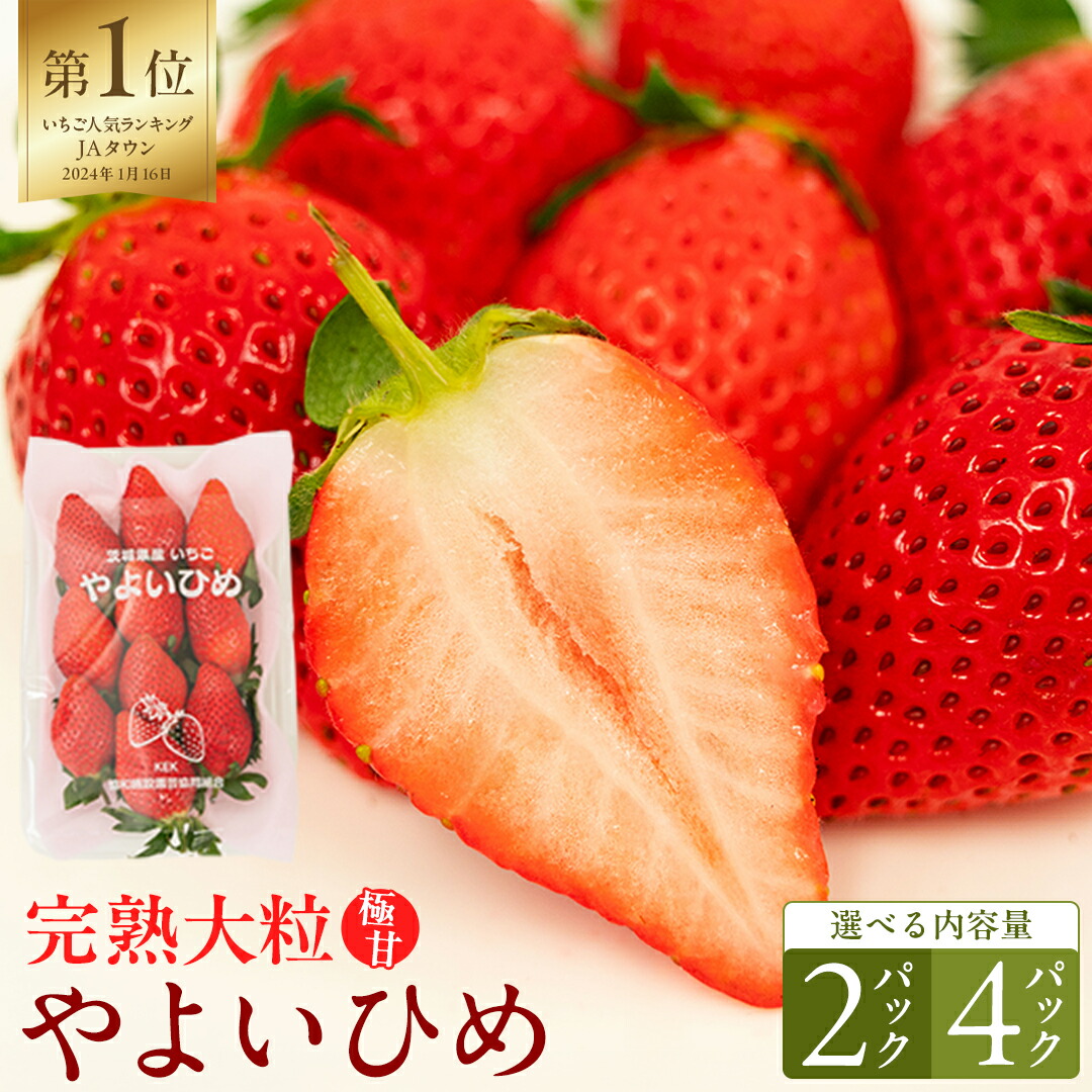 【ふるさと納税】《 2027年 収穫分 》 完熟 やよいひめ 260g&times;2～4パック KEK 国産 いちご イチゴ 苺 くだもの 果物 フルーツ 冬 春 旬｜茨城県桜川市