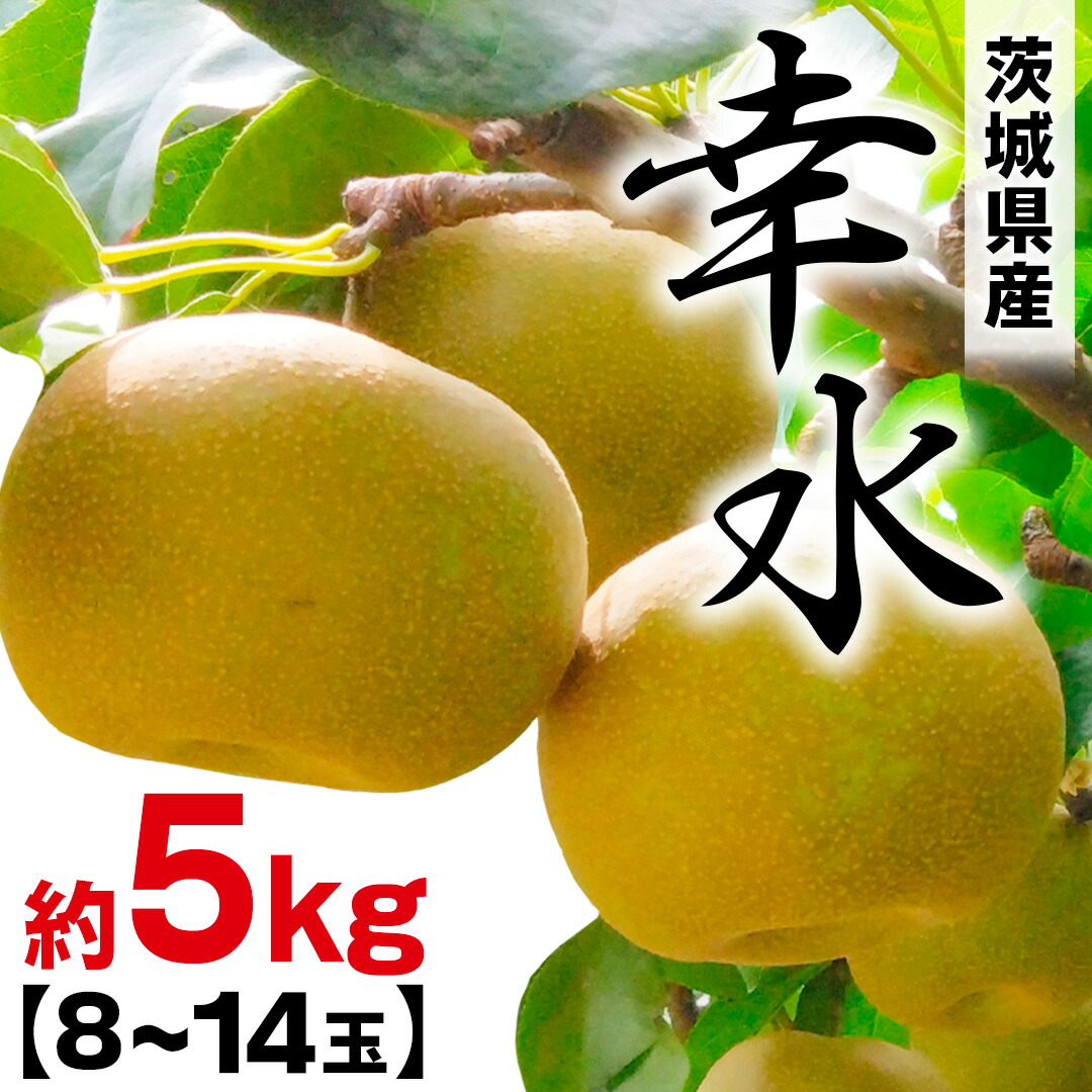 【ふるさと納税】幸水 約 5kg (8~14玉) 2026年産 先行予約 梨 果物 フルーツ なし ナシ 幸水梨 くだもの デザート 茨城