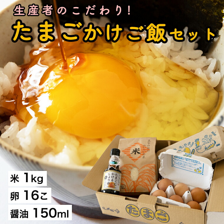 市場 パスタケース パスタメジャー付き 選べるカラー 保存容器 送料無料 白 2.7L フレッシュロック FRESHLOK 緑 お得な3個セット