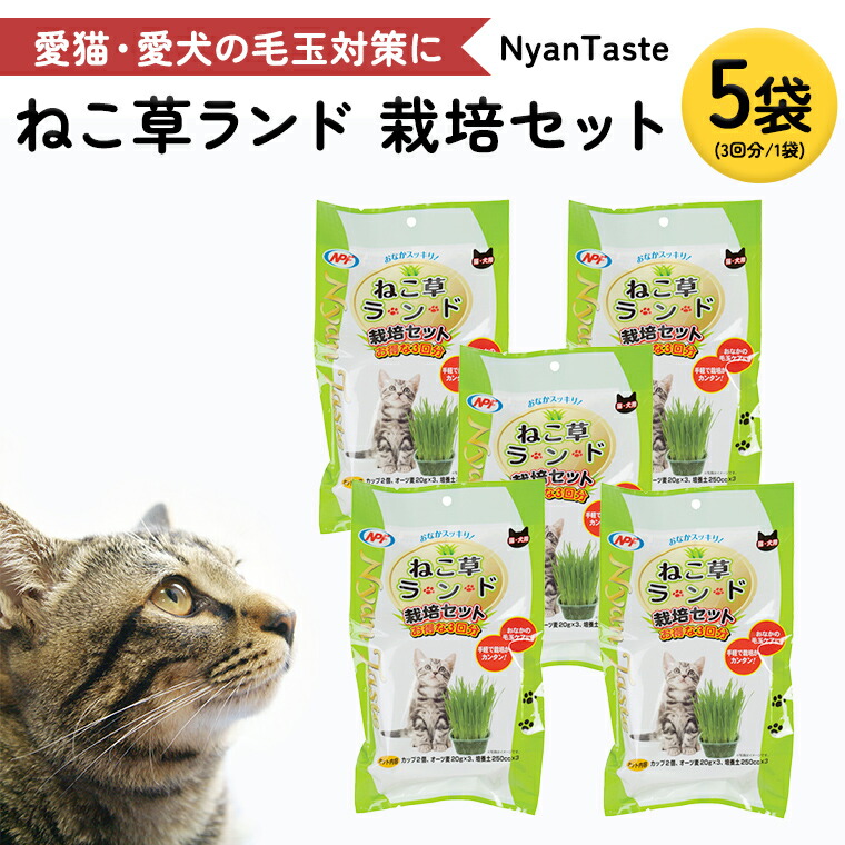 スイカ特集  －今年もスイカ、はじめました －
