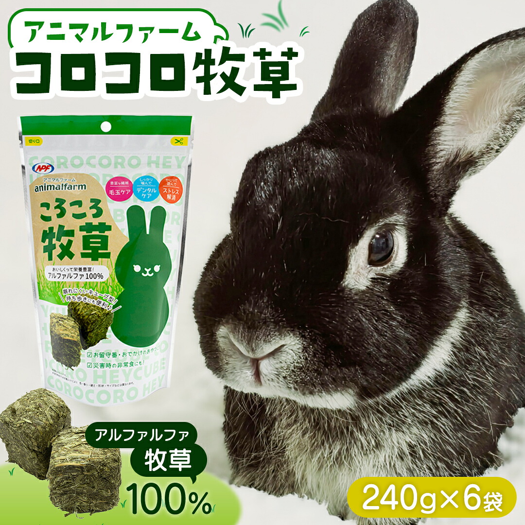 スイカ特集  －今年もスイカ、はじめました －