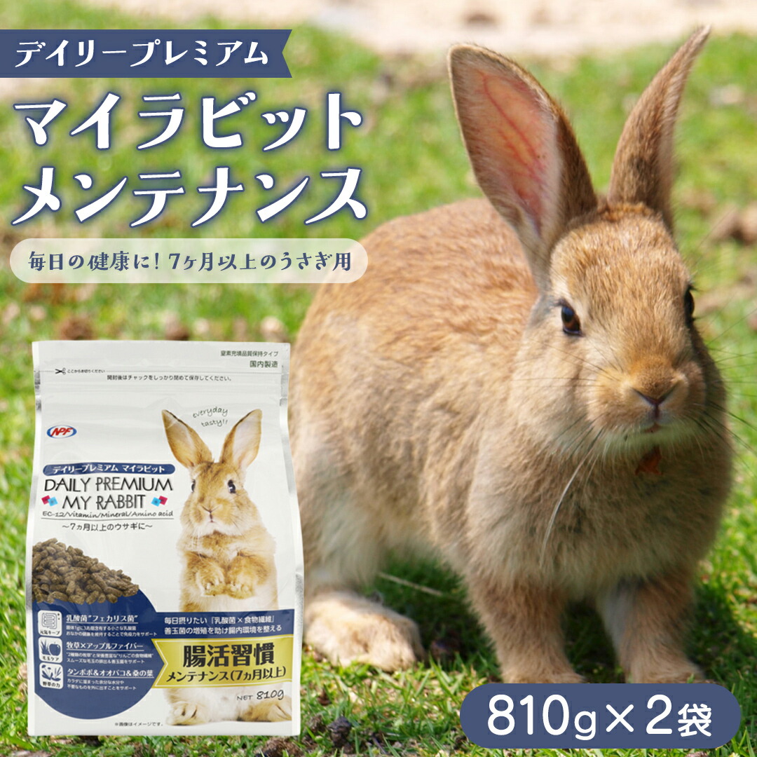 スイカ特集  －今年もスイカ、はじめました －