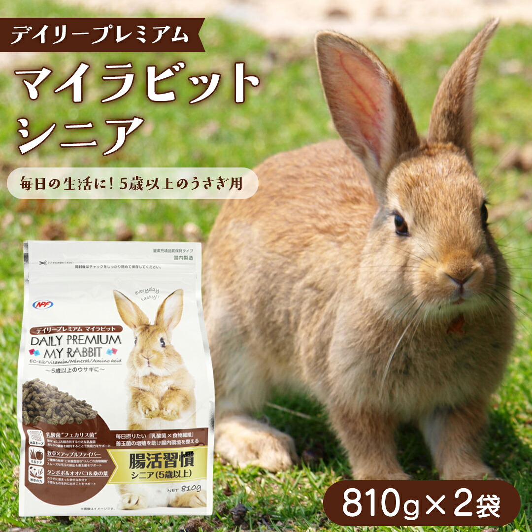 スイカ特集  －今年もスイカ、はじめました －