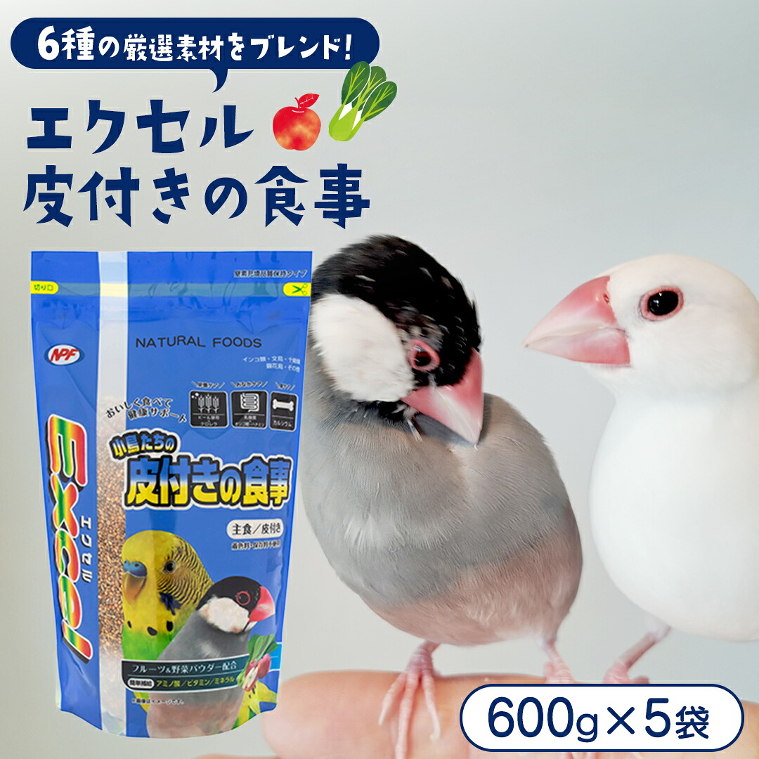 スイカ特集  －今年もスイカ、はじめました －
