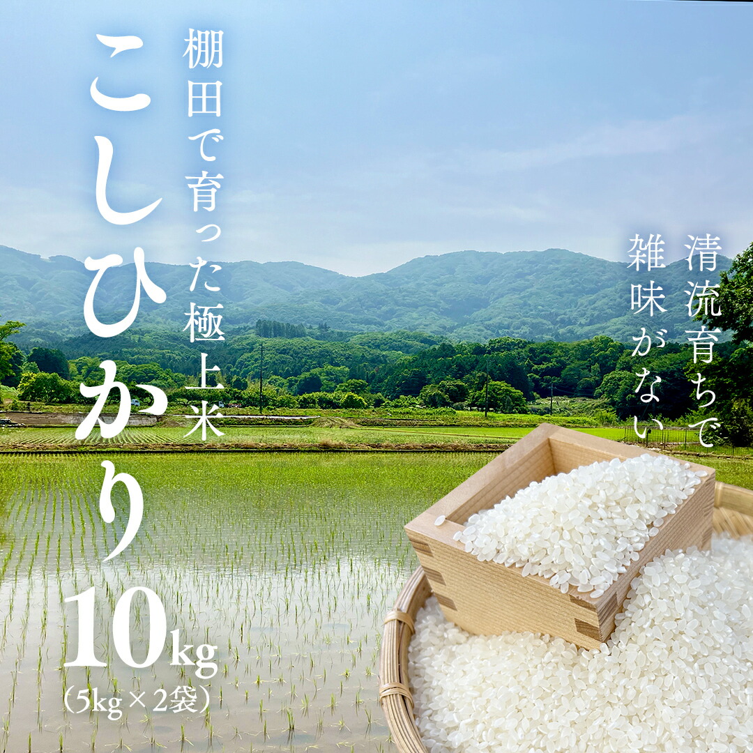 楽天市場】【ふるさと納税】米 梨北米 コシヒカリ 10kg [梨北