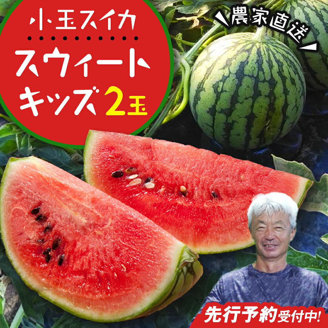 楽天市場】【ふるさと納税】 《2025年7月上旬から発送開始》 黒こだま すいか ＼選べる玉数／2玉～5玉 夏 スイカ すいか 黒こだま おやつ :  茨城県桜川市