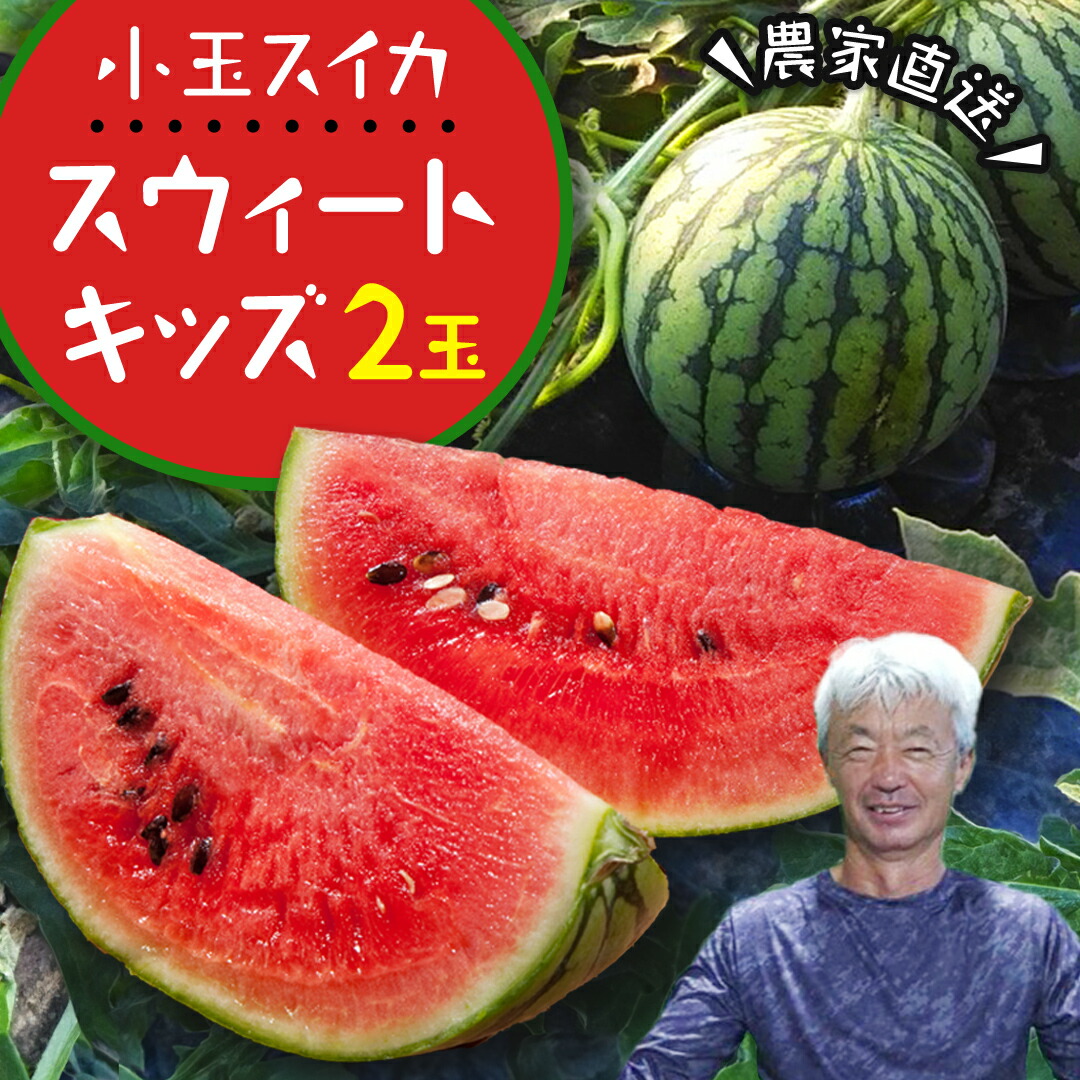 【ふるさと納税】 小玉 スイカ スウィートキッズ  2玉 セット 小玉スイカ すいか 西瓜 こだますいか フルーツ 果物 くだもの 農家直送 旬 甘い ギフト 人気 産直 【2025年5月下旬より発送開始】