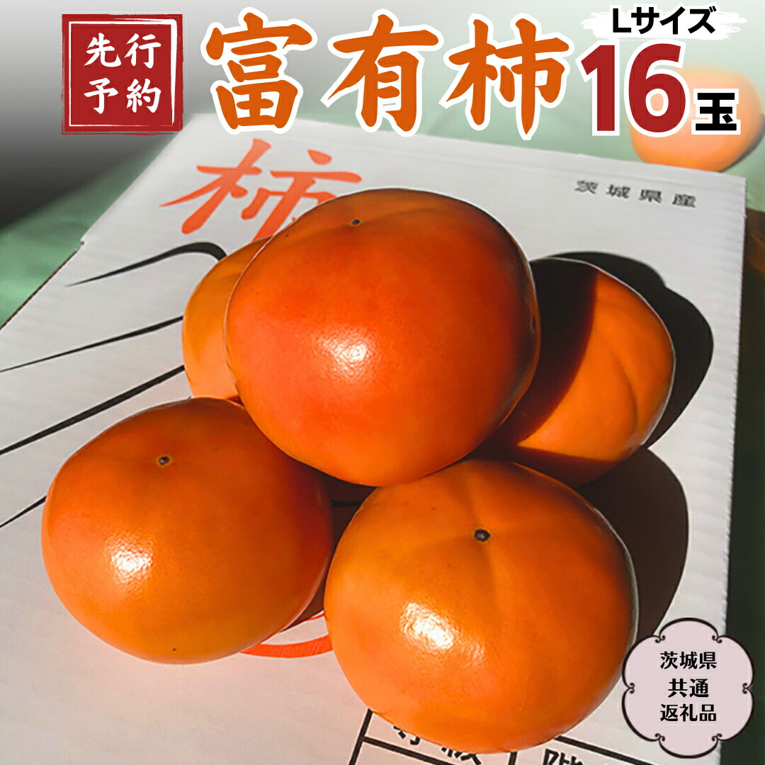 【ふるさと納税】 《先行予約 2025年11月中旬以降発送》 富有柿 L 16玉 (茨城県共通返礼品 石岡市) 果物 くだもの フルーツ 柿 かき