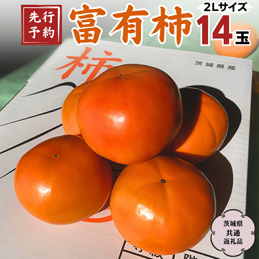 【ふるさと納税】 《 先行予約 2025年11月中旬以降発送 》 富有柿 2L 14玉 (茨城県共通返礼品 石岡市) 果物 くだもの フルーツ 柿 かき