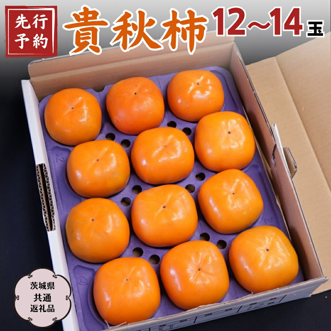 【ふるさと納税】《 先行予約 2025年11月上旬以降発送 》貴秋柿  12～14玉  (茨城県共通返礼品 石岡市) 果物 くだもの フルーツ 柿 かき